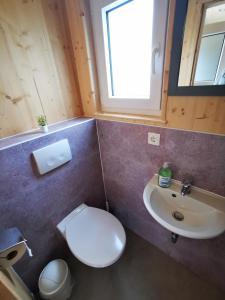 a bathroom with a toilet and a sink at Tiny Guesthouse Euerbach in Euerbach +26 photos