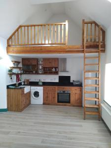 a kitchen with a loft bed in a room at Carrowkeel Cottage in Athlone