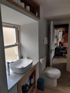 a bathroom with a sink and a toilet at Carrowkeel Cottage in Athlone