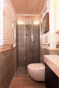 a bathroom with a shower with a toilet and a sink at Brand new beautiful ground floor flat in Cortina dʼAmpezzo +7 photos