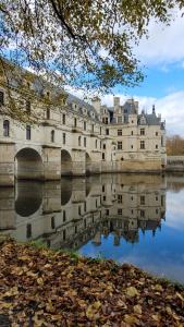 a large building with a bridge over a body of water at Maison d'Hôtes l'Ayguevives in Faverolles-sur-Cher