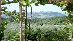 Fotografie z fotogalerie ubytování Podere Riparbella v destinaci Massa Marittima