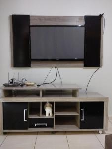 a entertainment center with a tv and a cat in it at Recanto da LM in Foz do Iguaçu