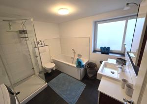 a bathroom with a shower and a toilet and a sink at Bodensee Ferienwohnung Claudia 4 in Friedrichshafen +12 photos