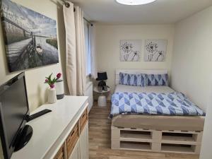 a small bedroom with a bed and a tv at Bodensee Ferienwohnung Claudia 4 in Friedrichshafen