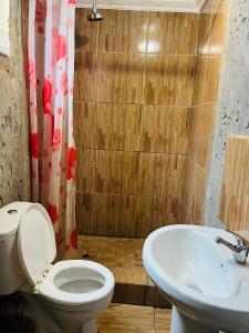 a bathroom with a toilet and a sink at Kasi Retreat in Northam