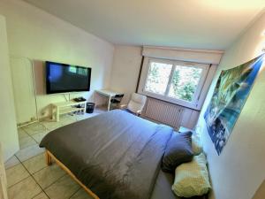 a bedroom with a bed and a flat screen tv at Geneva House M in Ferney-Voltaire