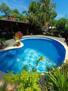 a large swimming pool with blue water in a yard at Sentirse en casa in Puerto Iguazú