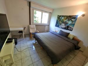 a bedroom with a bed and a desk and a window at Geneva House M in Ferney-Voltaire +3 photos