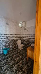 a bathroom with a toilet and a sink at Jibhi Emberwood in Jibhi +37 photos