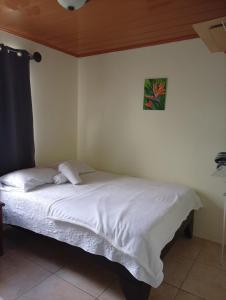 a bed in a bedroom with a picture on the wall at Casa morfo in Bijagua