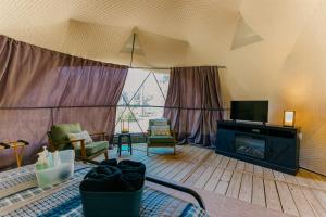 a living room with a fireplace and a tv at Cozy Mountain Dome Escape in the Catskills in Gilboa +26 photos