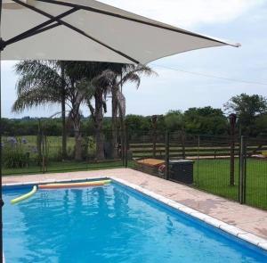 a large swimming pool with an umbrella over it at Cabañas Teoba in San José