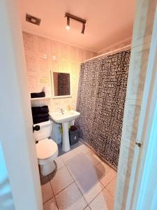 a bathroom with a toilet and a sink and a shower at Casa Las Condes, steps from Manquehue Metro in Santiago +9 photos