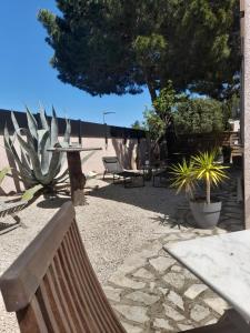 a park with benches and a table and a cactus at Chambre double avec balcon in Sérignan