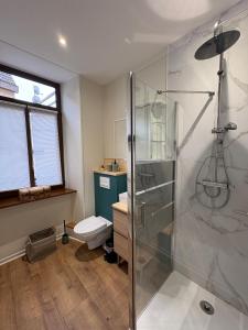 a bathroom with a shower and a toilet at LA LIESE in Niederbronn-les-Bains +6 photos