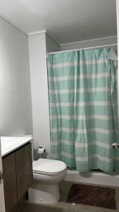 a bathroom with a toilet and a green shower curtain at Depa Céntrico con estacionamiento in Temuco