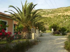 a palm tree in front of a house at Pantelios Village in Katelios