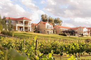 a house on a hill with a field of vines at 1001 Pont de Val in Parys