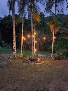 a group of palm trees at night with lights at Morada do Sol Petar in Iporanga