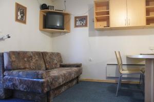 a living room with a couch and a tv at Apartments Rogla in Zreče