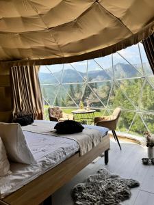 a bed in a room with a large window at Motyl Glamping Resort in Dzembronya