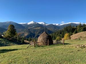 a grassy field with a fence and a haystack at Motyl Glamping Resort in Dzembronya