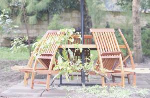 two wooden chairs and a table and a plant at Destiny Paradise in Amagoro