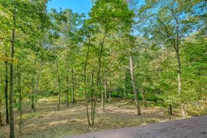 a wooded area with trees and a road at Fox Hollow - Hot Tub, Wifi, Pet Friendly, Screen Porch, Deck, Recreation Center, Pool Access, Golf Nearby, Hiking, Grill, Fireplace, King Bed in Hedgesville