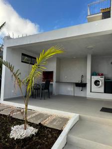 a house with a palm tree in the yard at Crystal House in Calheta