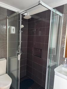 a bathroom with a glass shower with a toilet at Crystal House in Calheta