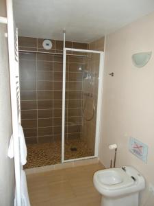 a bathroom with a shower and a toilet at Relais de Bèze in Bèze
