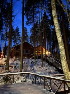 a log cabin in the woods in the snow at Villa Wanda in Savonlinna