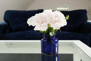 Afbeelding uit fotogalerij van B & B De Lorijn in Duiven