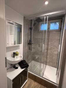 a bathroom with a shower and a sink at Pendler Montagewohnung Kandern, Lörrach, Basel D,CH, FR in Holzen