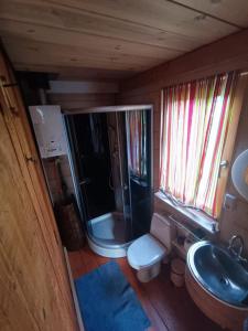 a bathroom with a shower and a toilet and a sink at Brīvdienu Māja Martz in Engure