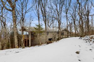 a house in the snow in the woods at Peaks & Pines Escape in Beech Mountain