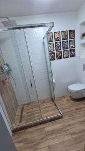 a shower stall in a bathroom with a toilet at Apartment Ultra-Central, Parcare, AC, Jaluzele, WiFi in Baia Mare