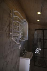 a bathroom with a sink and a shelf on the wall at Familyhata in Dzembronya
