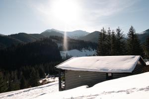 a cabin in the snow with a view of a mountain at Familyhata in Dzembronya +15 photos