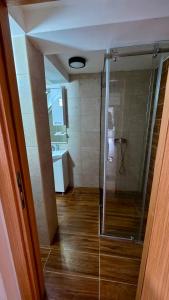 a bathroom with a shower with a glass door at The Pine Loft by Kopaonik in Kopaonik