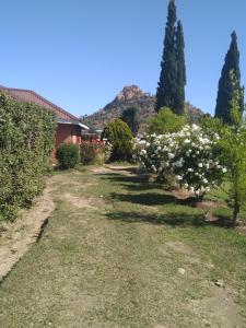 a garden with white flowers and trees and a house at Lion Rock View Guesthouse in Maseru