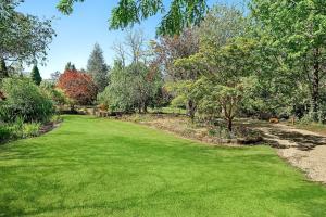 a large yard with green grass and trees at Bronte Cottage in Lawson