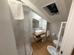 a bathroom with a shower and a sink and a toilet at B&B Sant'Angelo Sala Consilina in Sala Consilina +26 photos