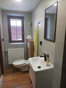a bathroom with a sink and a toilet and a mirror at Chata Jeřabina in Klíny