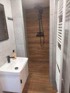 a bathroom with a sink and a shower at Chata Jeřabina in Klíny