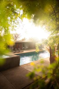 a view of a swimming pool in a yard at Hostel Qiru Atacama in Sólor