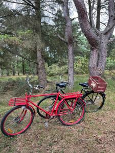 two red bikes parked next to each other in a forest at Authentic Summerhouse Near The Beach in Rørvig