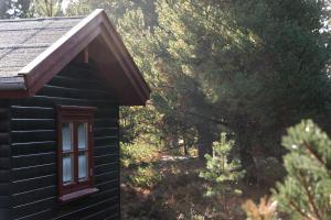 a window on the side of a house with trees at Authentic Summerhouse Near The Beach in Rørvig +31 photos