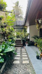 a garden with plants and stairs in a building at Kandyan Gate Homestay in Kandy